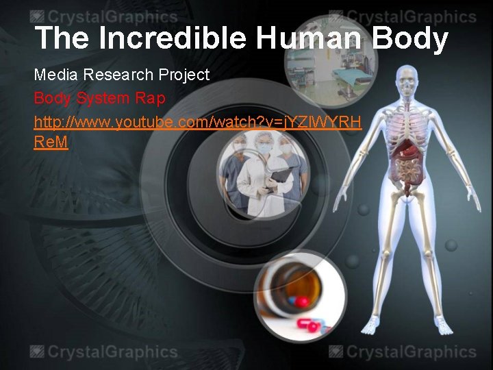 The Incredible Human Body Media Research Project Body