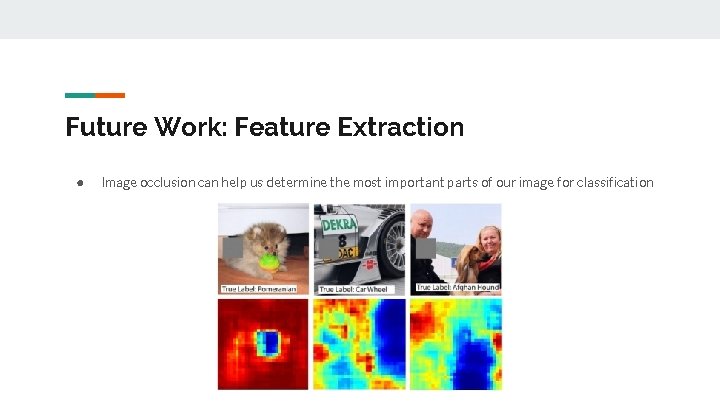 Future Work: Feature Extraction ● Image occlusion can help us determine the most important