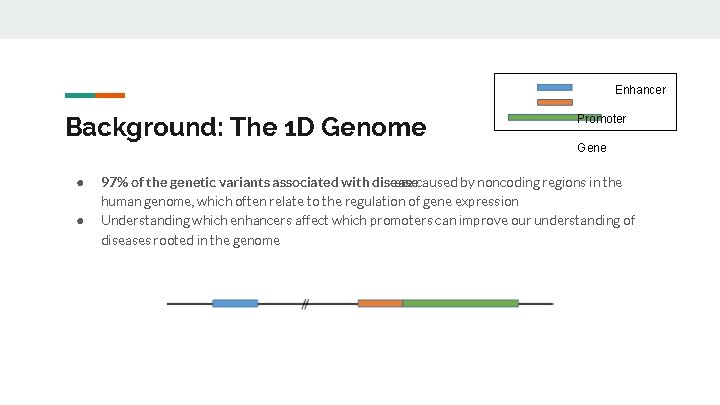 Enhancer Background: The 1 D Genome ● ● Promoter Gene 97% of the genetic