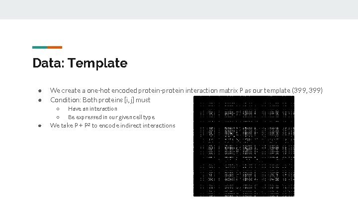 Data: Template ● ● We create a one-hot encoded protein-protein interaction matrix P as