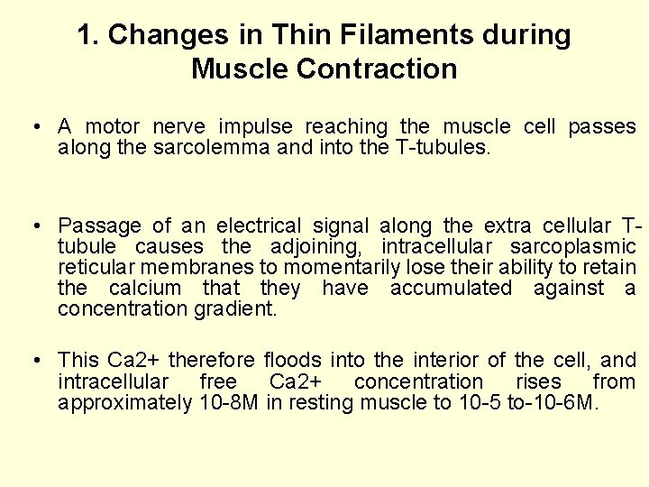 1. Changes in Thin Filaments during Muscle Contraction • A motor nerve impulse reaching