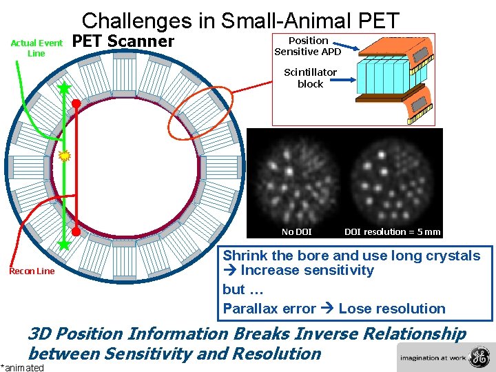Challenges in Small-Animal PET Actual Event Line PET Scanner Position Sensitive APD Scintillator block