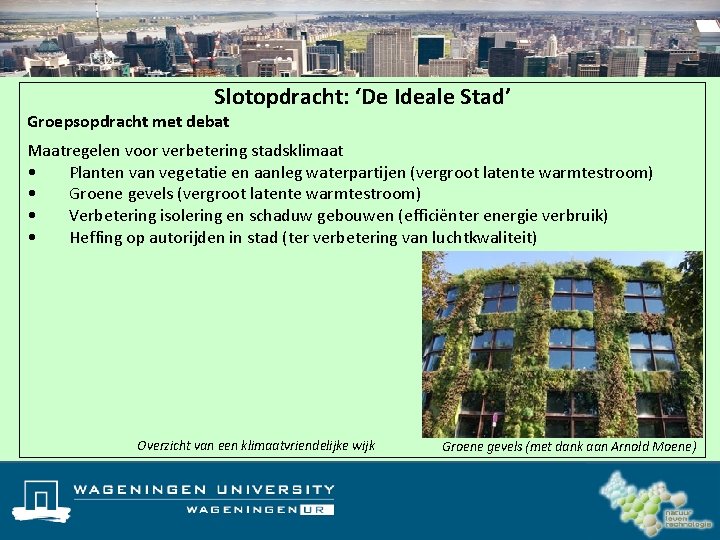 Slotopdracht: ‘De Ideale Stad’ Groepsopdracht met debat Maatregelen voor verbetering stadsklimaat • Planten van