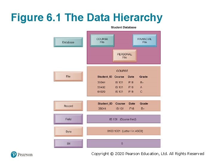 Figure 6. 1 The Data Hierarchy Copyright © 2020 Pearson Education, Ltd. All Rights