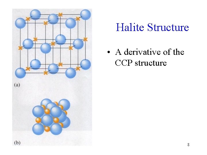 Halite Structure • A derivative of the CCP structure 8 