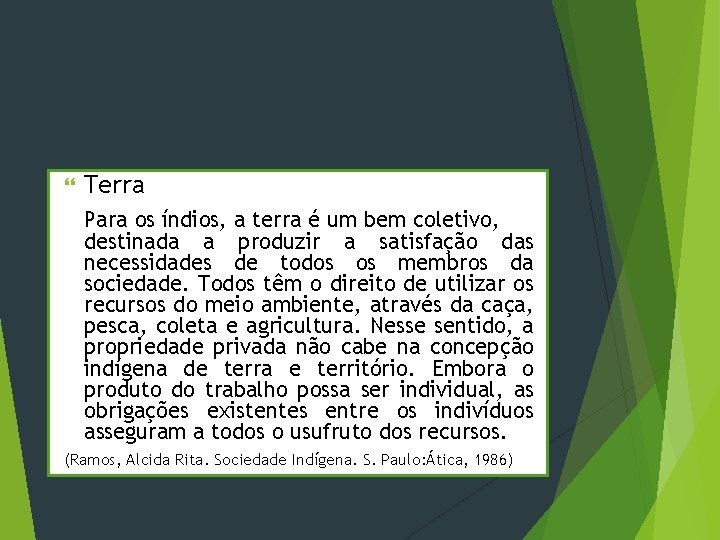  Terra Para os índios, a terra é um bem coletivo, destinada a produzir