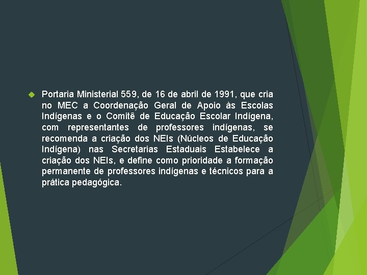  Portaria Ministerial 559, de 16 de abril de 1991, que cria no MEC