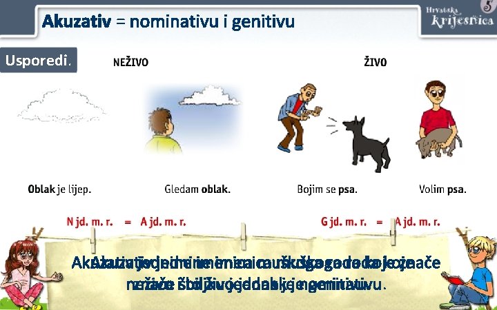 Akuzativ = nominativu i genitivu Usporedi. Akuzativ jednine imenica muškoga roda koje znače Što