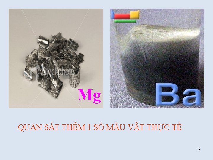 Mg QUAN SÁT THÊM 1 SỐ MẪU VẬT THỰC TẾ 8 