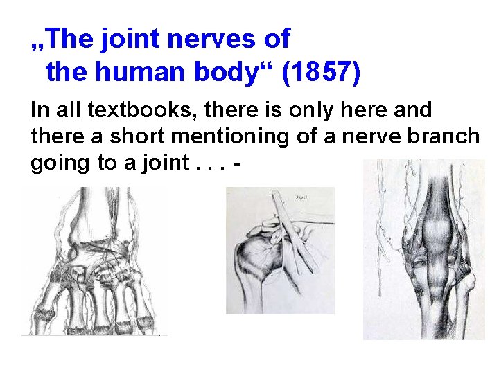 „The joint nerves of the human body“ (1857) In all textbooks, there is only