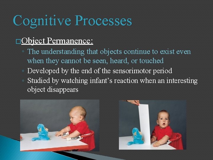 Cognitive Processes �Object Permanence: ◦ The understanding that objects continue to exist even when