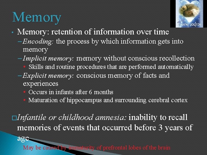 Memory • Memory: retention of information over time – Encoding: the process by which