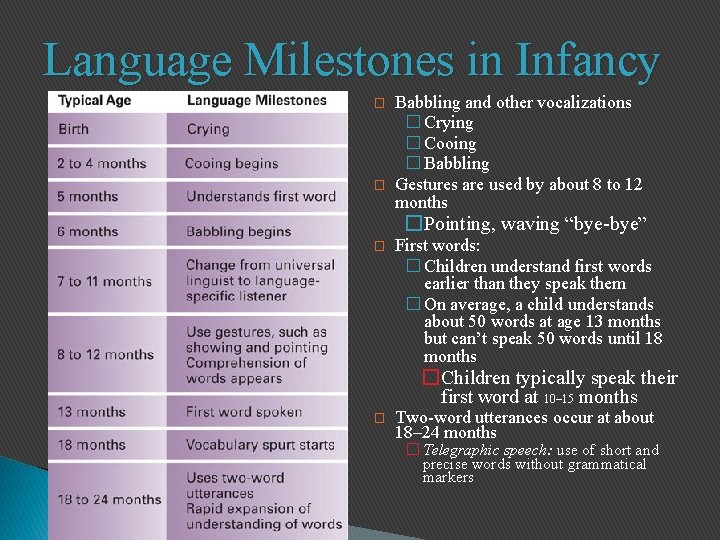 Language Milestones in Infancy � � Babbling and other vocalizations � Crying � Cooing