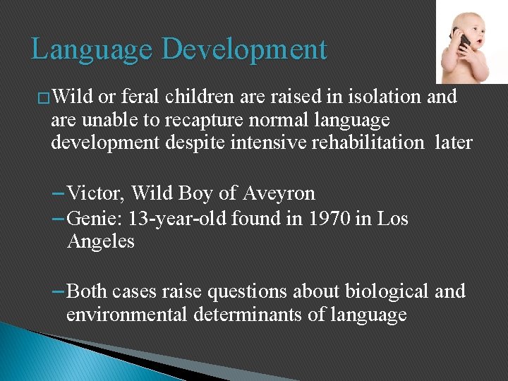 Language Development �Wild or feral children are raised in isolation and are unable to