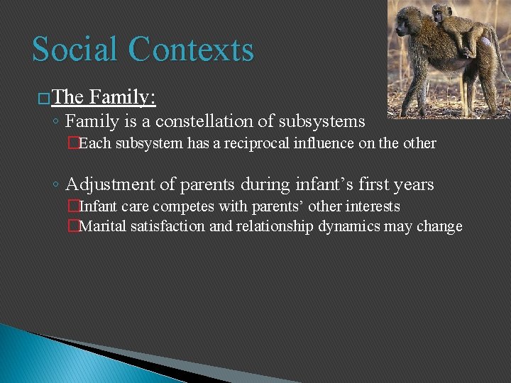 Social Contexts �The Family: ◦ Family is a constellation of subsystems �Each subsystem has