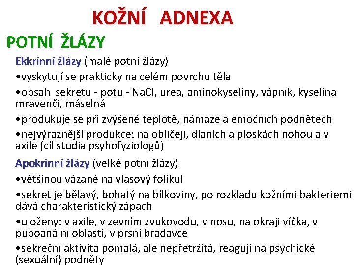 KOŽNÍ ADNEXA POTNÍ ŽLÁZY Ekkrinní žlázy (malé potní žlázy) • vyskytují se prakticky na