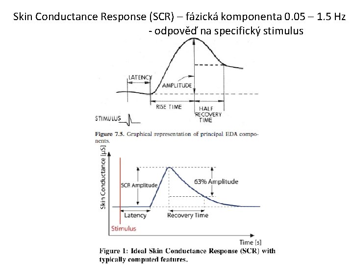 Skin Conductance Response (SCR) – fázická komponenta 0. 05 – 1. 5 Hz -