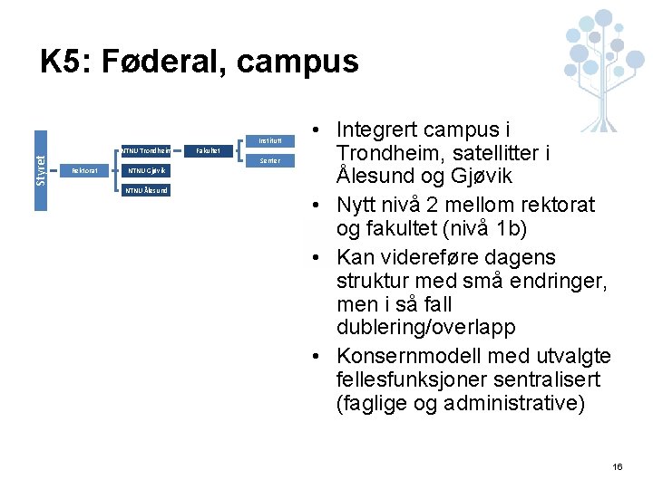 K 5: Føderal, campus Institutt Styret NTNU Trondheim Fakultet Senter Rektorat NTNU Gjøvik NTNU