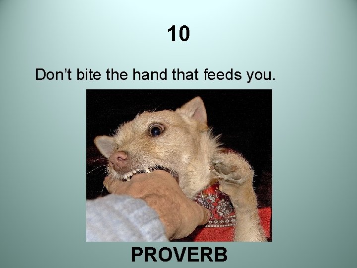 10 Don’t bite the hand that feeds you. PROVERB 