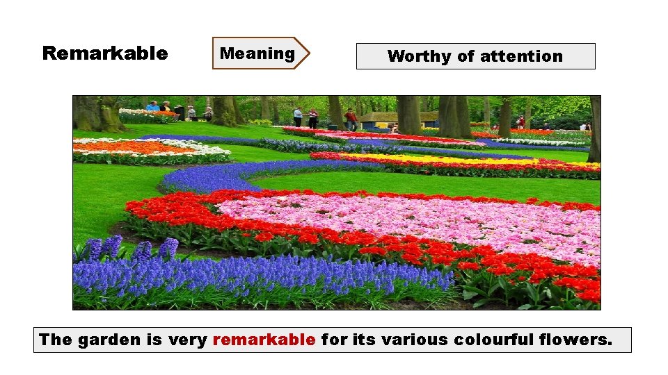 Remarkable Meaning Worthy of attention The garden is very remarkable for its various colourful