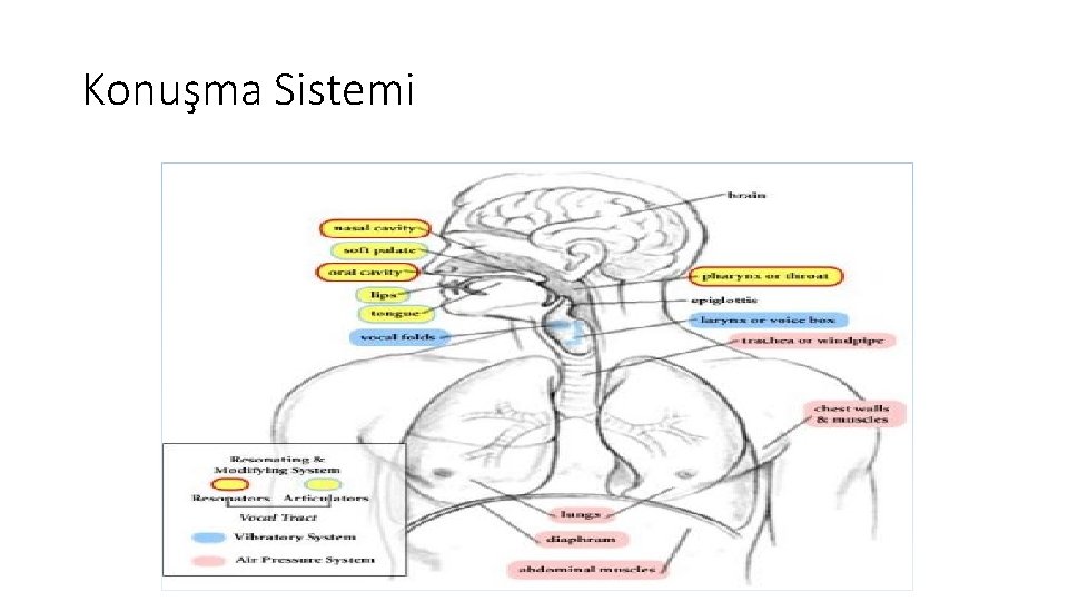 Konuşma Sistemi 