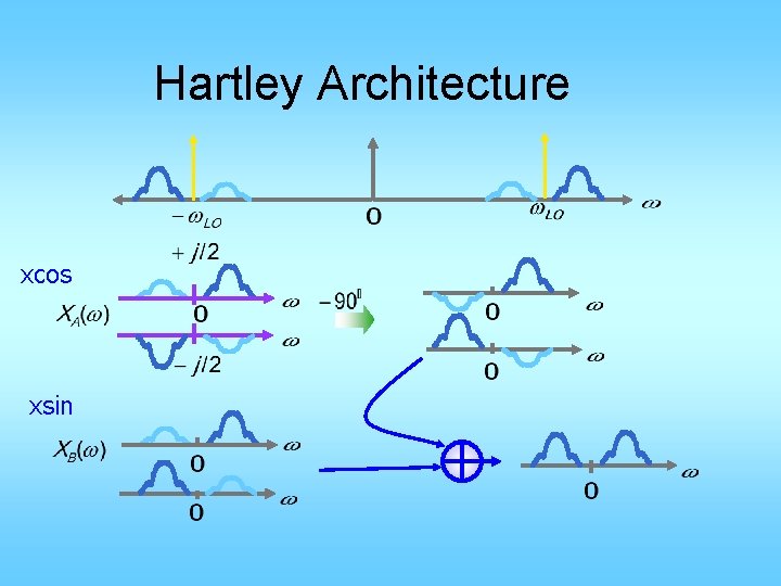 Hartley Architecture xcos xsin 