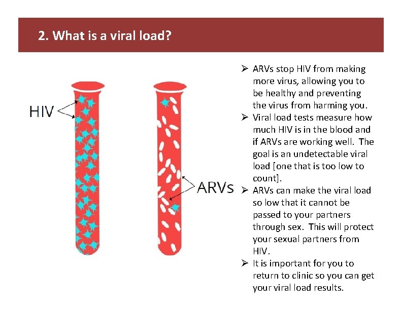 2. What is a viral load? Ø ARVs stop HIV from making more virus,