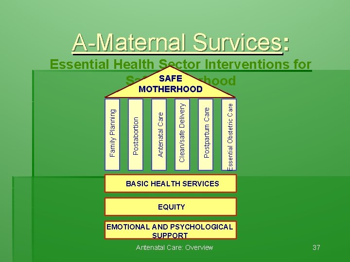 A-Maternal Survices: Essential Obstetric Care Postpartum Care Clean/safe Delivery Antenatal Care Postabortion Family Planning