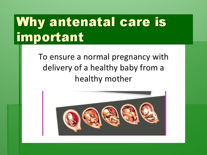 Why antenatal care is important 