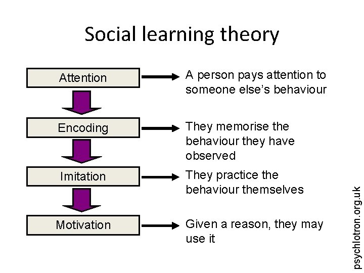 Attention A person pays attention to someone else’s behaviour Encoding They memorise the behaviour