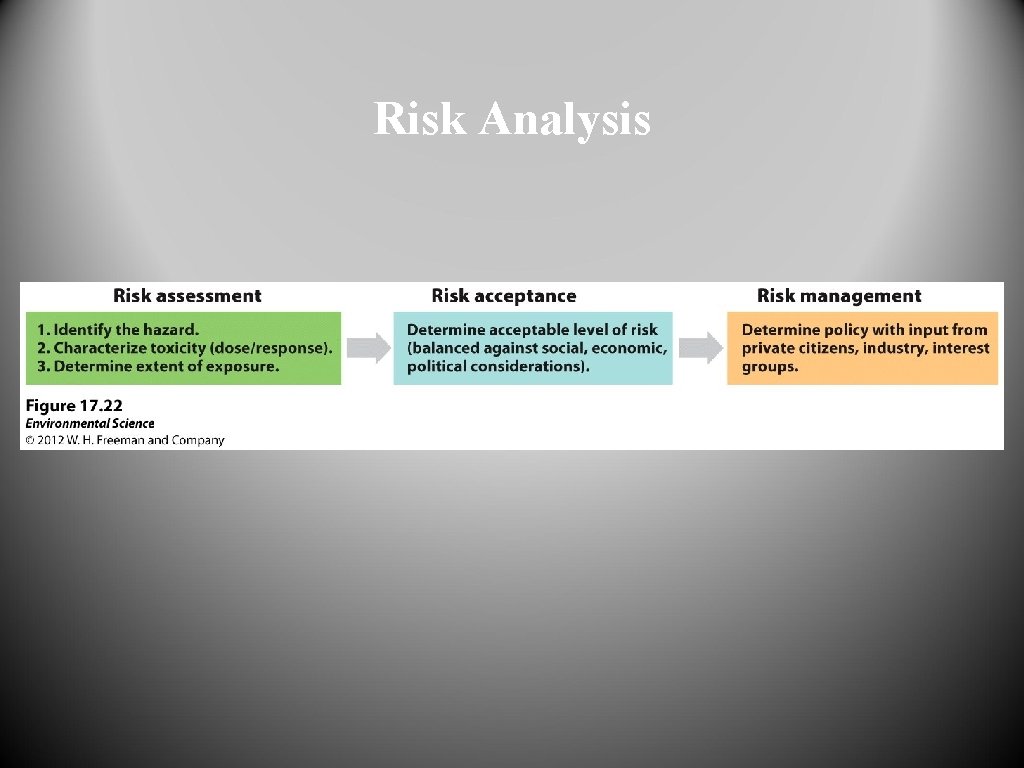 Risk Analysis 