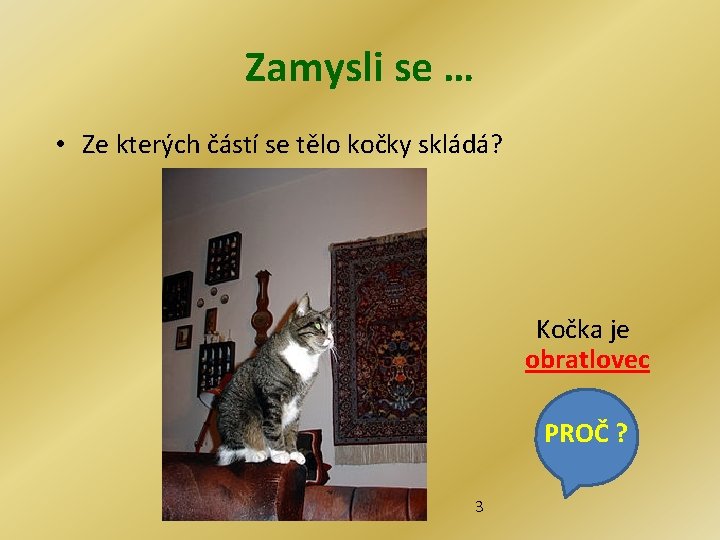 Zamysli se … • Ze kterých částí se tělo kočky skládá? Kočka je obratlovec