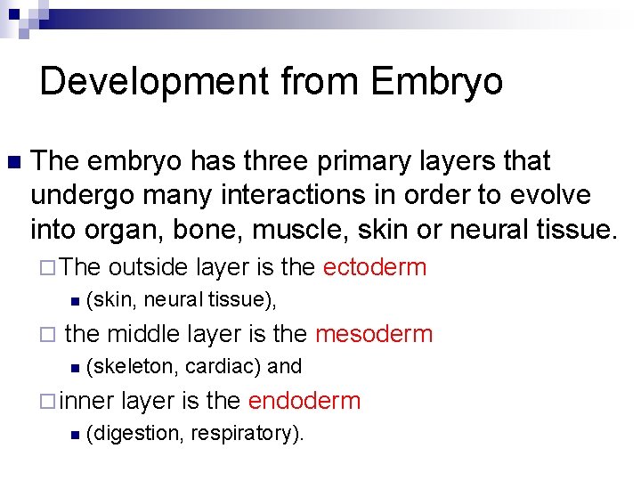 Development from Embryo n The embryo has three primary layers that undergo many interactions