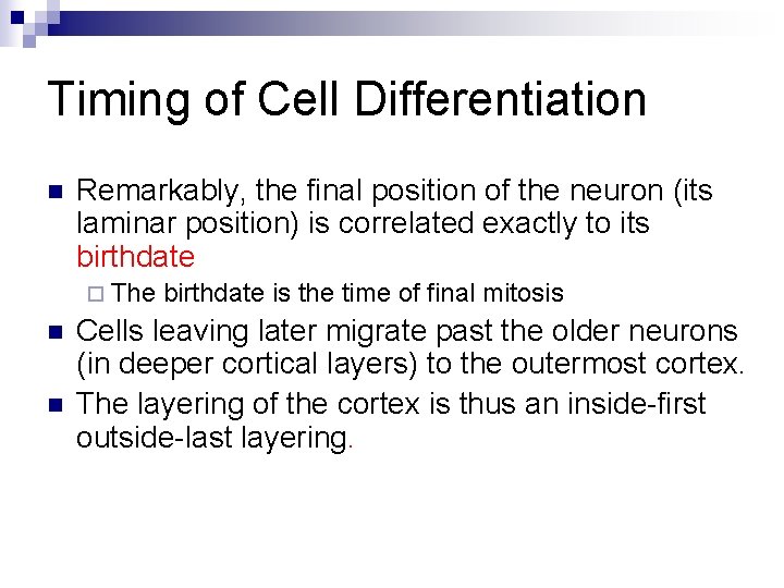 Timing of Cell Differentiation n Remarkably, the final position of the neuron (its laminar