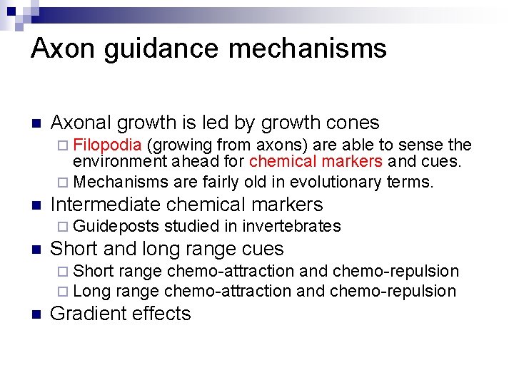 Axon guidance mechanisms n Axonal growth is led by growth cones ¨ Filopodia (growing