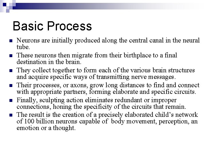 Basic Process n n n Neurons are initially produced along the central canal in