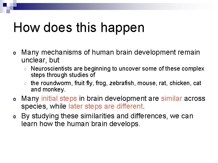 How does this happen o Many mechanisms of human brain development remain unclear, but