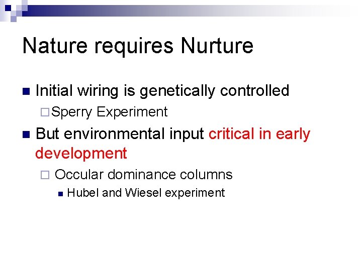 Nature requires Nurture n Initial wiring is genetically controlled ¨ Sperry n Experiment But