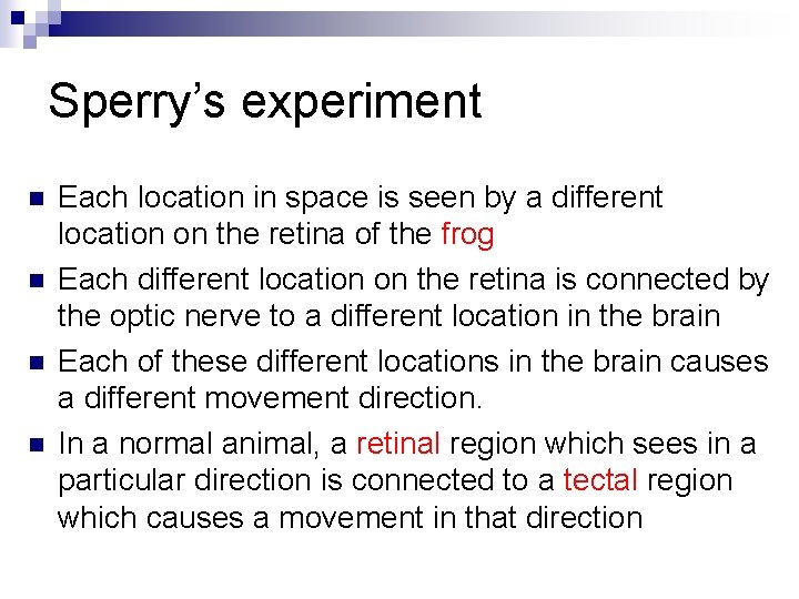 Sperry’s experiment n n Each location in space is seen by a different location