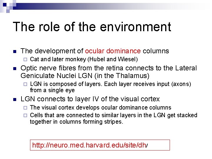The role of the environment n The development of ocular dominance columns ¨ n