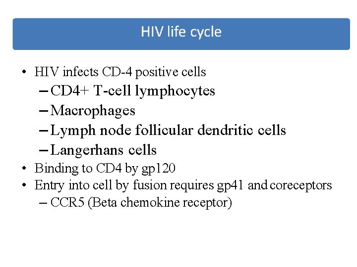  • HIV infects CD-4 positive cells – CD 4+ T-cell lymphocytes – Macrophages