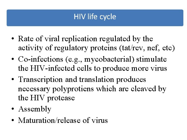  • Rate of viral replication regulated by the activity of regulatory proteins (tat/rev,