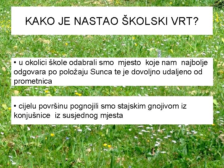 KAKO JE NASTAO ŠKOLSKI VRT? • u okolici škole odabrali smo mjesto koje nam