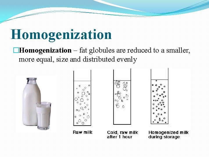 Homogenization �Homogenization – fat globules are reduced to a smaller, more equal, size and