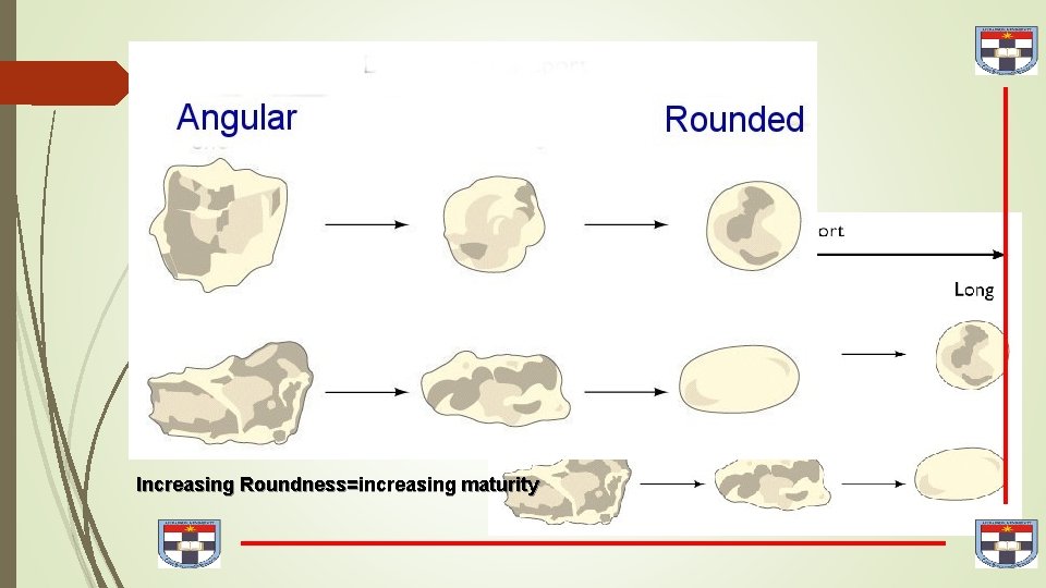 Increasing Roundness=increasing maturity 