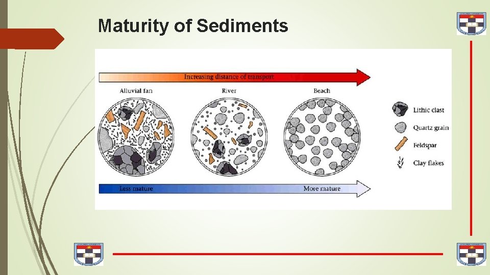 Maturity of Sediments 