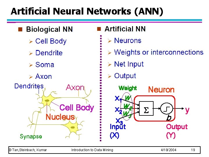 Artificial Neural Networks (ANN) Dendrites Axon Weight Cell Body Nucleus Synapse © Tan, Steinbach,