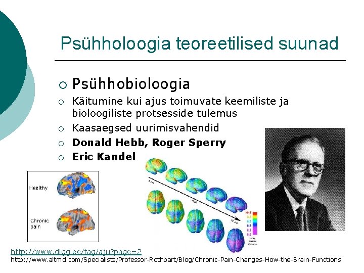 Psühholoogia teoreetilised suunad ¡ ¡ ¡ Psühhobioloogia Käitumine kui ajus toimuvate keemiliste ja bioloogiliste