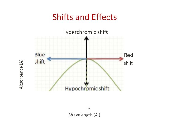 Shifts and Effects Hyperchromic shift Absorbance (A) Red shift i ax Wavelength (A )