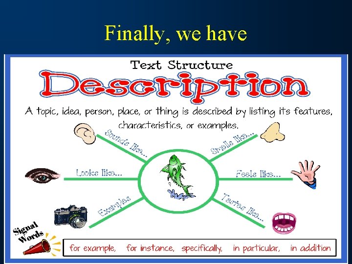 Understanding Text Structures What is a text structure